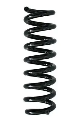 Fahrwerksfeder Hinterachse SPIDAN 86886