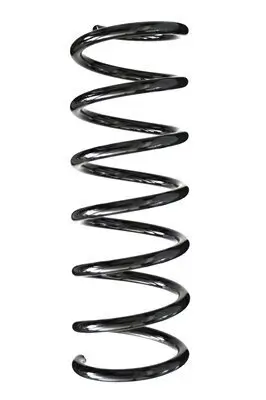 Fahrwerksfeder Hinterachse SPIDAN 86903