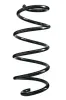 Fahrwerksfeder Vorderachse SPIDAN 86918