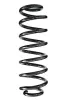 Fahrwerksfeder Hinterachse SPIDAN 86926