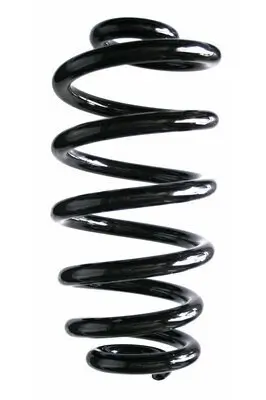 Fahrwerksfeder Hinterachse SPIDAN 86931