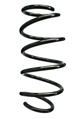 Fahrwerksfeder Vorderachse SPIDAN 86940