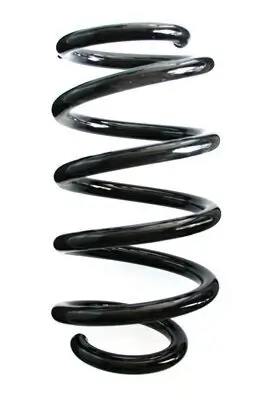 Fahrwerksfeder Hinterachse SPIDAN 86945