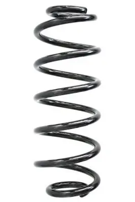 Fahrwerksfeder Hinterachse SPIDAN 86947