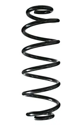 Fahrwerksfeder Hinterachse SPIDAN 86948