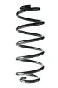 Fahrwerksfeder Hinterachse SPIDAN 86957