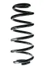 Fahrwerksfeder Hinterachse SPIDAN 86960