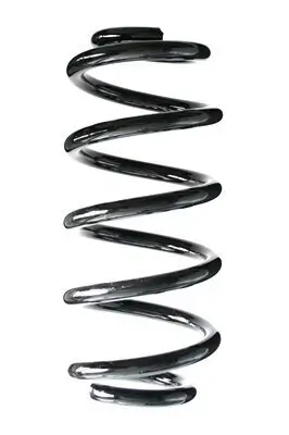 Fahrwerksfeder Hinterachse SPIDAN 86961