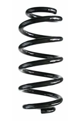 Fahrwerksfeder Hinterachse SPIDAN 86962 Bild Fahrwerksfeder Hinterachse SPIDAN 86962