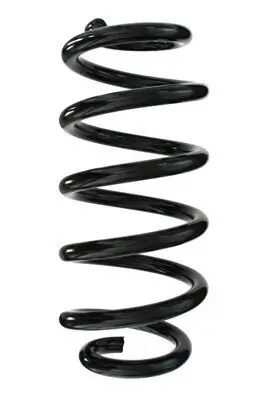 Fahrwerksfeder Hinterachse SPIDAN 86963