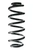 Fahrwerksfeder Hinterachse SPIDAN 86965