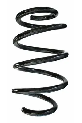 Fahrwerksfeder Vorderachse SPIDAN 86975