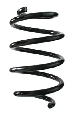 Fahrwerksfeder Vorderachse SPIDAN 86981 Bild Fahrwerksfeder Vorderachse SPIDAN 86981