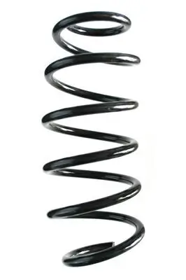 Fahrwerksfeder Vorderachse SPIDAN 87024