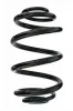 Fahrwerksfeder Hinterachse SPIDAN 87030