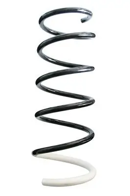 Fahrwerksfeder Vorderachse SPIDAN 87033