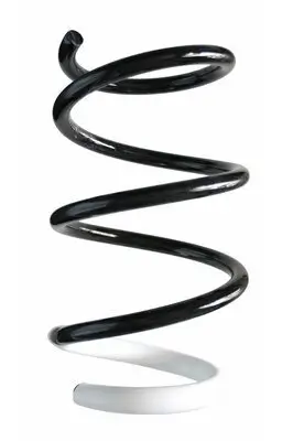 Fahrwerksfeder Vorderachse SPIDAN 87045 Bild Fahrwerksfeder Vorderachse SPIDAN 87045