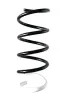 Fahrwerksfeder Vorderachse SPIDAN 87046