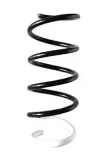 Fahrwerksfeder Vorderachse SPIDAN 87046
