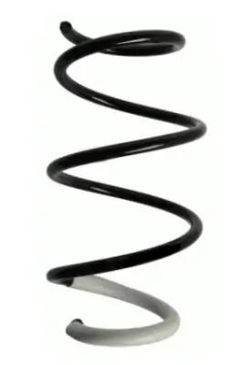 Fahrwerksfeder Vorderachse SPIDAN 87049