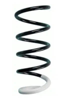 Fahrwerksfeder Vorderachse SPIDAN 87050