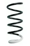Fahrwerksfeder Vorderachse SPIDAN 87050
