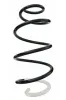 Fahrwerksfeder Vorderachse SPIDAN 87058