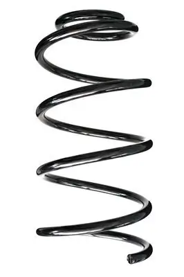 Fahrwerksfeder Vorderachse SPIDAN 87066
