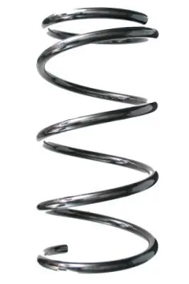 Fahrwerksfeder Vorderachse SPIDAN 87080