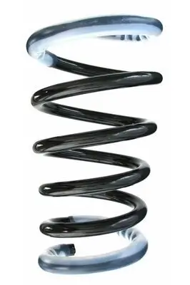 Fahrwerksfeder Hinterachse SPIDAN 87088