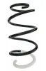 Fahrwerksfeder Vorderachse SPIDAN 87095