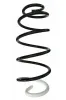 Fahrwerksfeder Vorderachse SPIDAN 87104