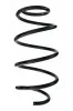Fahrwerksfeder Vorderachse SPIDAN 87110