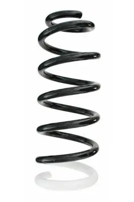 Fahrwerksfeder Hinterachse SPIDAN 87116