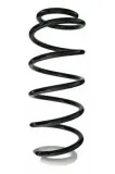 Fahrwerksfeder Hinterachse SPIDAN 87117