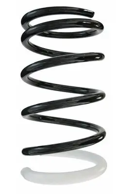Fahrwerksfeder Hinterachse SPIDAN 87119 Bild Fahrwerksfeder Hinterachse SPIDAN 87119