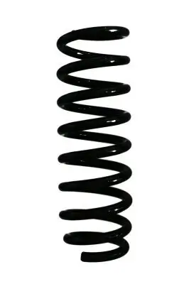 Fahrwerksfeder Hinterachse SPIDAN 87141