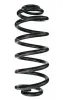 Fahrwerksfeder Hinterachse SPIDAN 87146