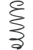 Fahrwerksfeder Vorderachse SPIDAN 87164