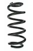 Fahrwerksfeder Vorderachse SPIDAN 87167