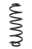 Fahrwerksfeder Hinterachse SPIDAN 87178