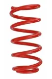 Fahrwerksfeder Hinterachse SPIDAN 87189