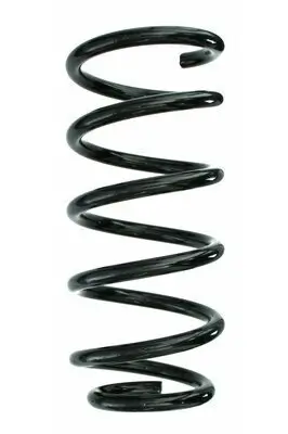 Fahrwerksfeder Hinterachse SPIDAN 87192