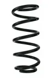 Fahrwerksfeder Hinterachse SPIDAN 87193