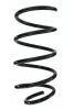 Fahrwerksfeder Vorderachse SPIDAN 87206