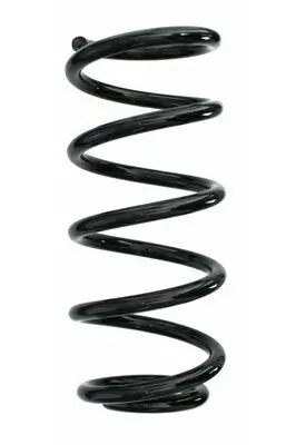 Fahrwerksfeder Hinterachse SPIDAN 87207