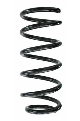 Fahrwerksfeder Hinterachse SPIDAN 87210