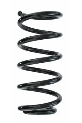 Fahrwerksfeder Hinterachse SPIDAN 87213