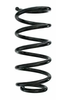 Fahrwerksfeder Hinterachse SPIDAN 87214