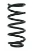 Fahrwerksfeder Hinterachse SPIDAN 87214